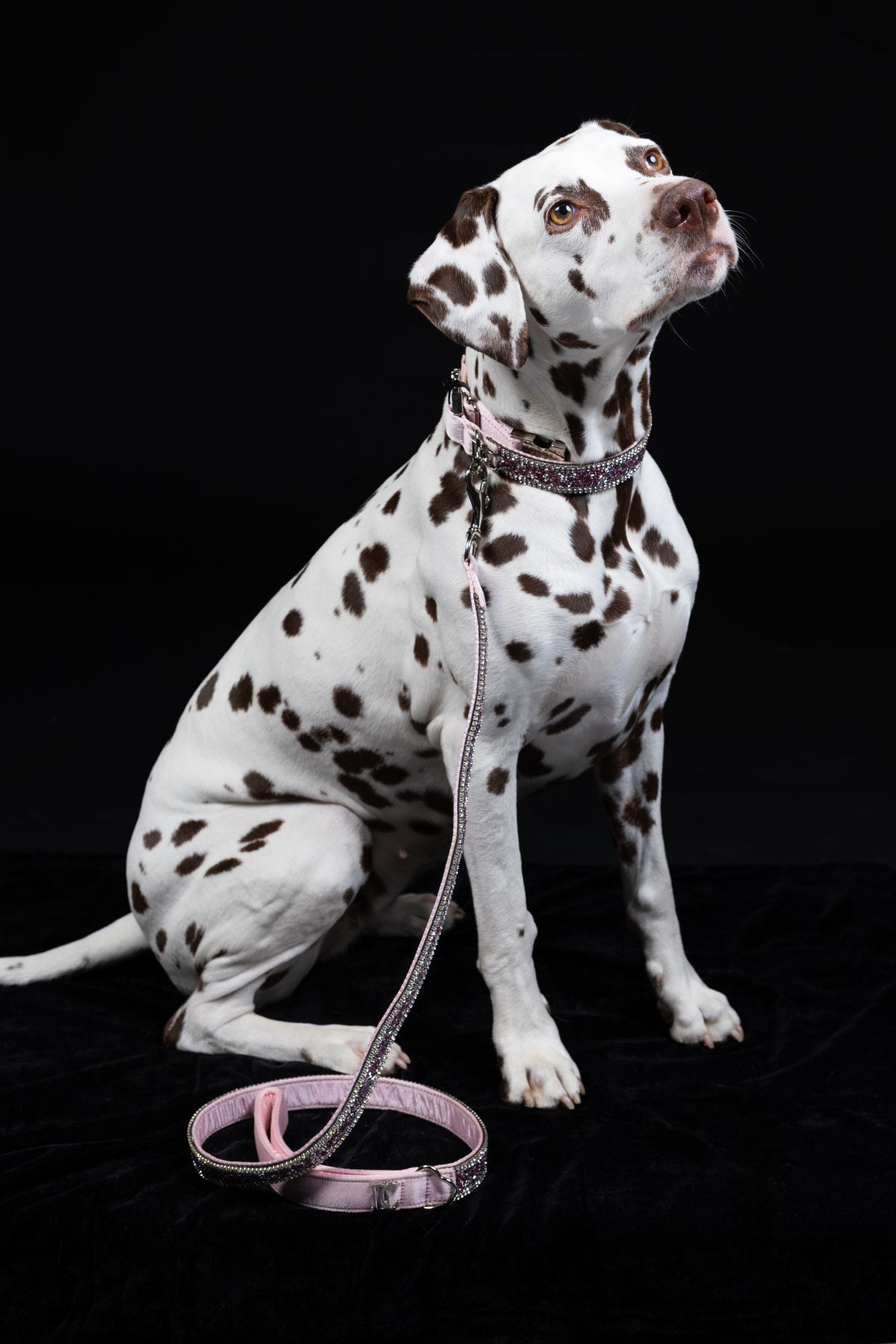 Hundehalsband „Rosé Glamour“ – pink mit Kristallen