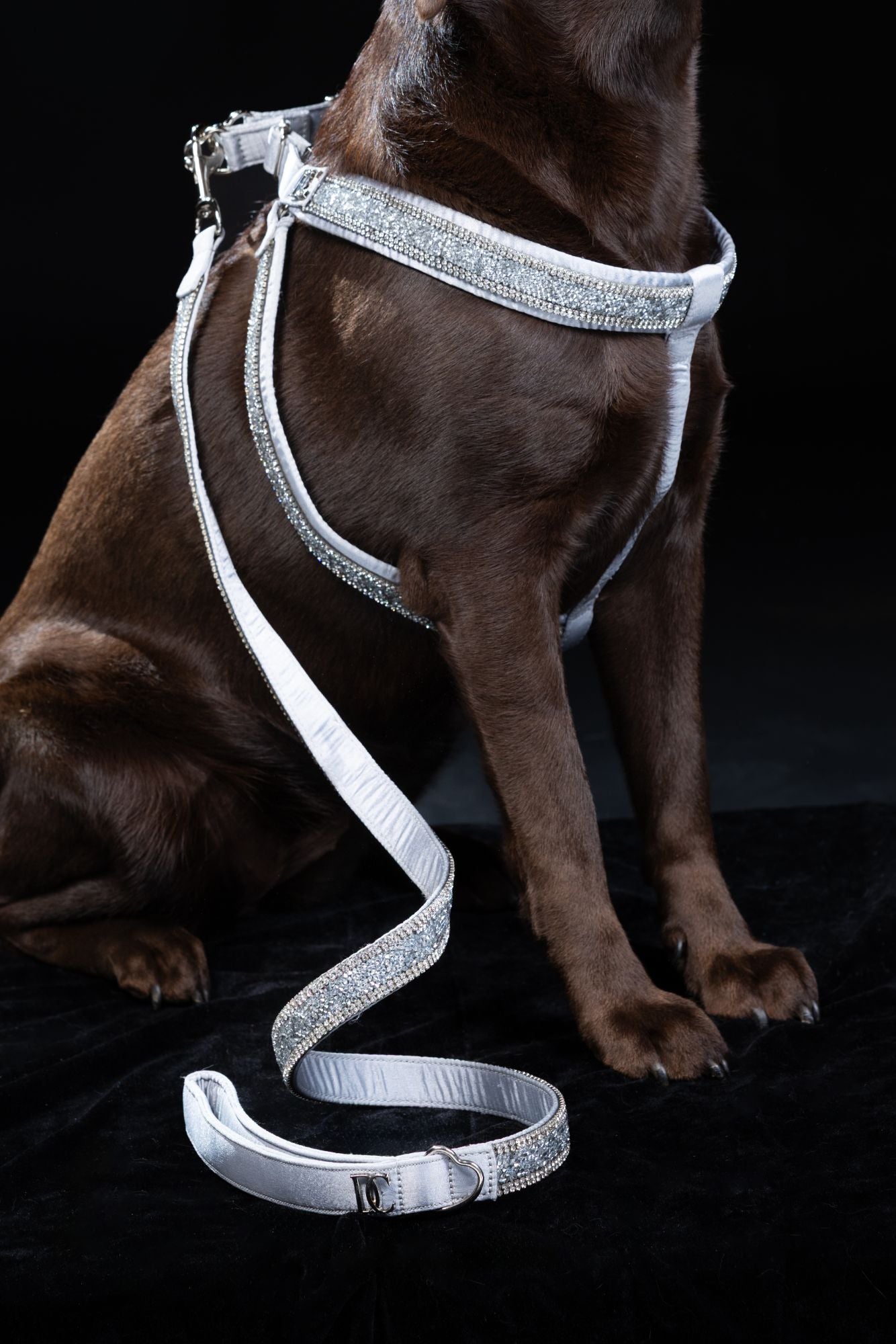 Hunde Design-Geschirr „Crystal Moonlight“ – silber mit Kristallen