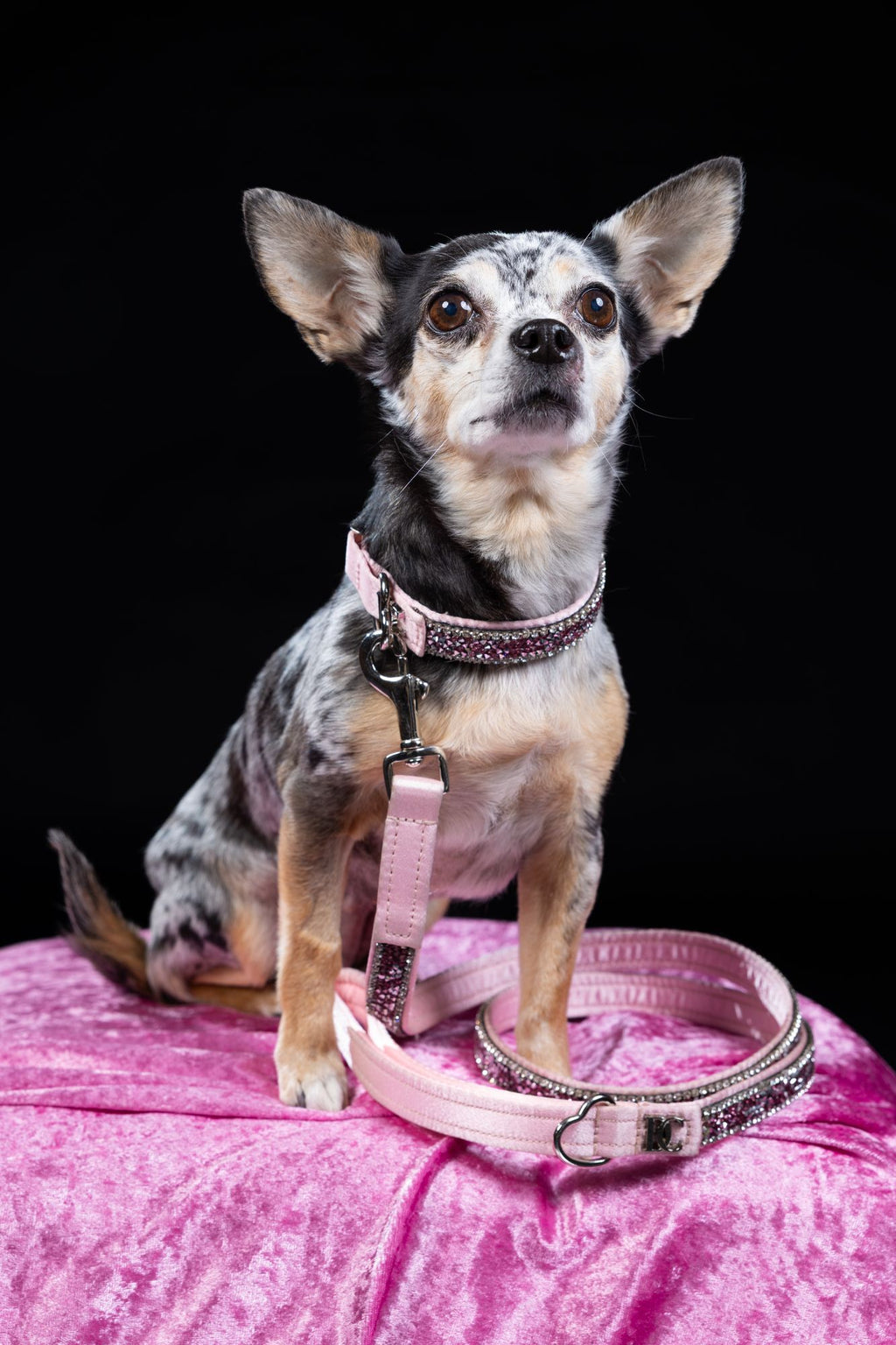 Hundehalsband „Rosé Glamour“ – pink mit Kristallen