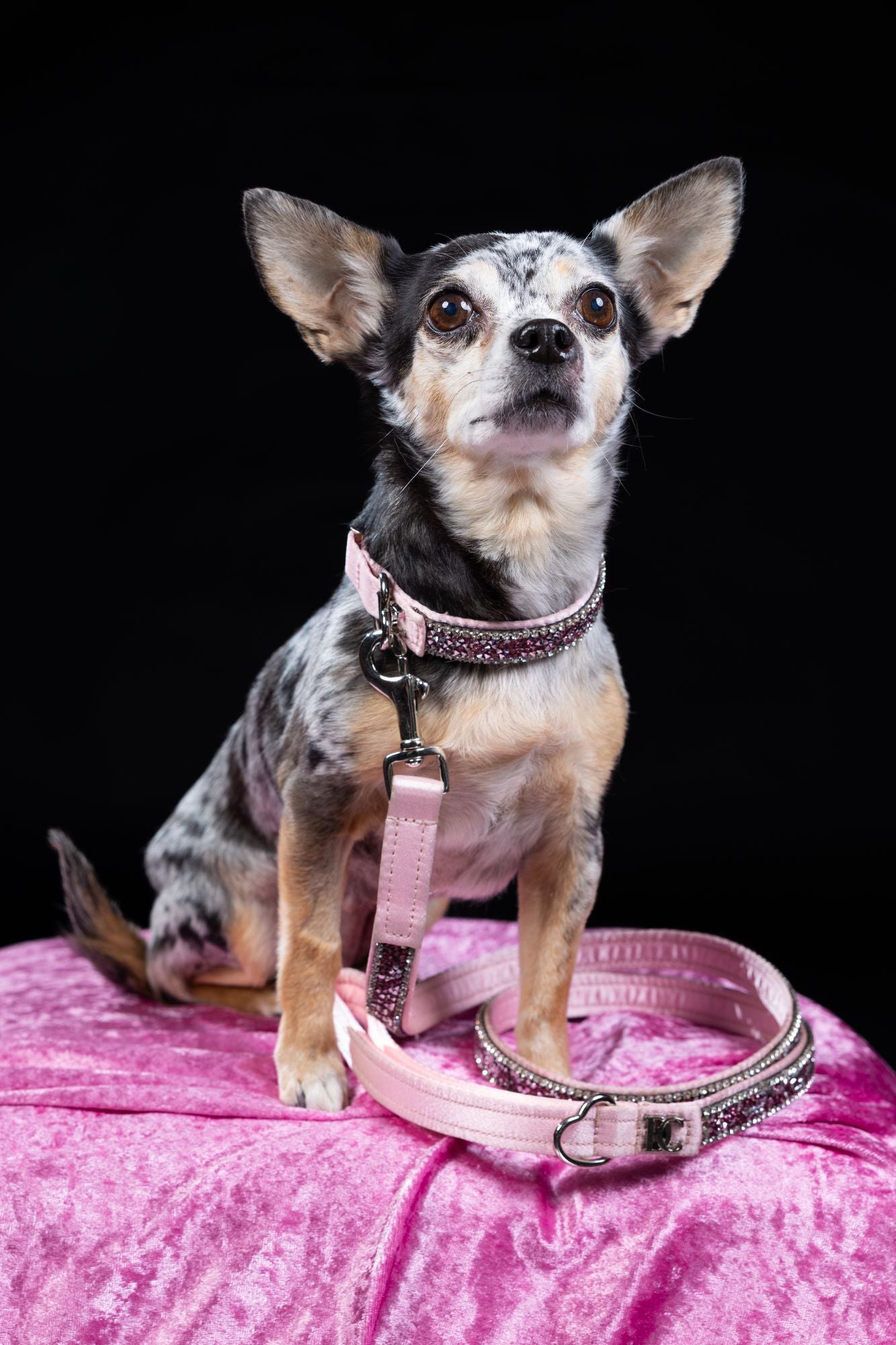 Hundehalsband „Rosé Glamour“ – pink mit Kristallen