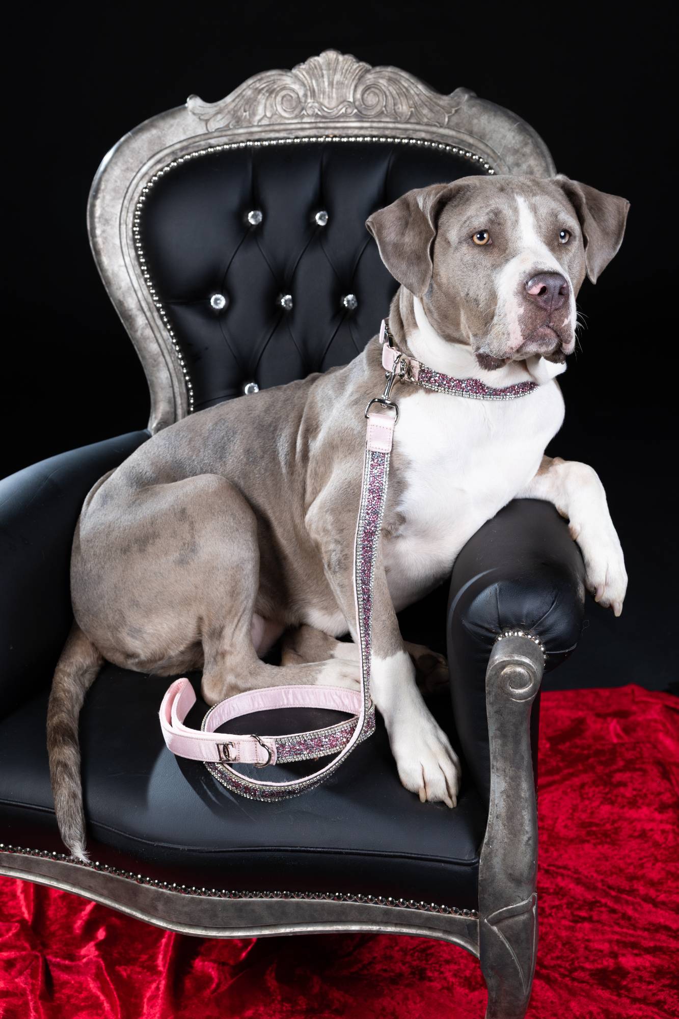 Luxus-Hundeleine „Rosé Glamour“ – pink mit Kristallakzenten