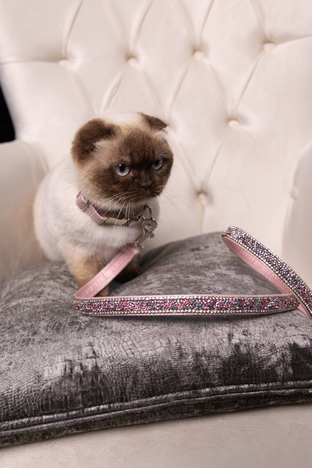 Luxus-Katzenleine „Rosé Glamour“ – pink mit Kristallakzenten