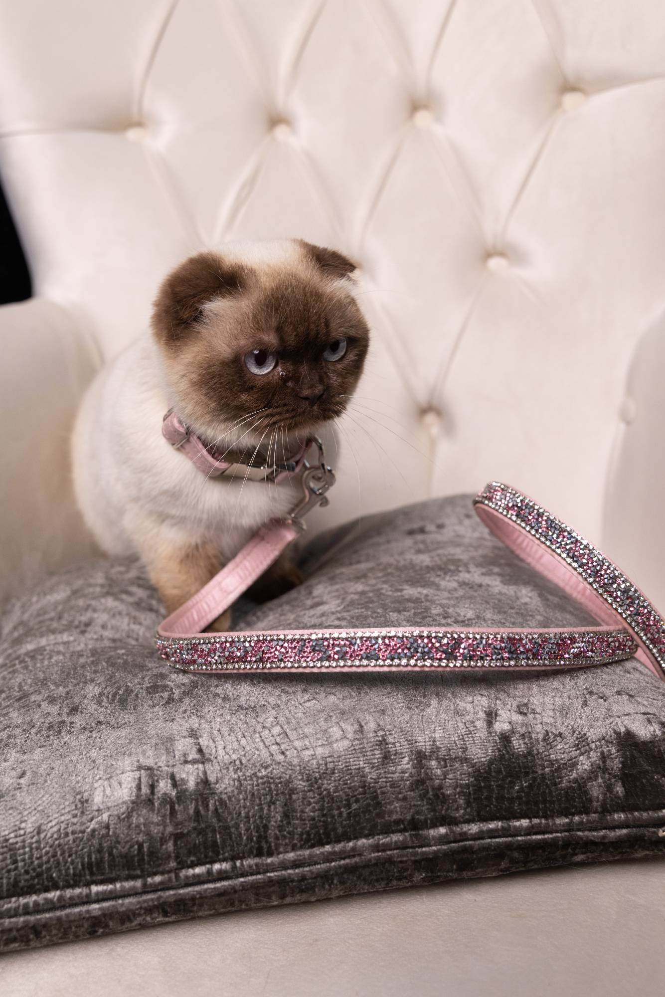 Luxus-Katzenleine „Rosé Glamour“ – pink mit Kristallakzenten