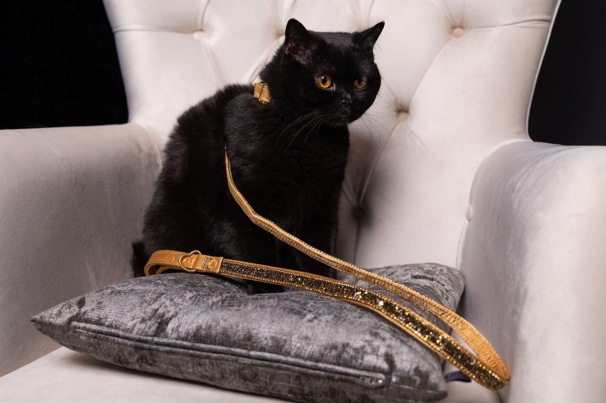 Luxus-Katzenleine „Golden Glow“ – gold mit Kristallverzierung