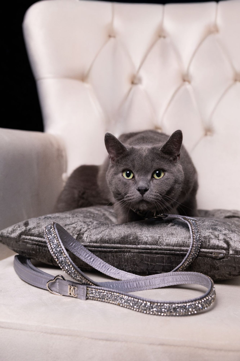 Luxus-Katzenleine „Crystal Moonlight“ – silber mit Kristallverzierung