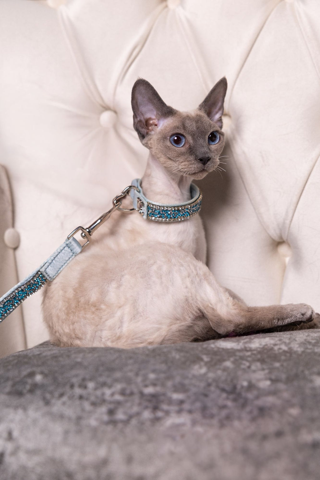 Katzenhalsband „Royal Sky“ – königsblau mit Kristallen