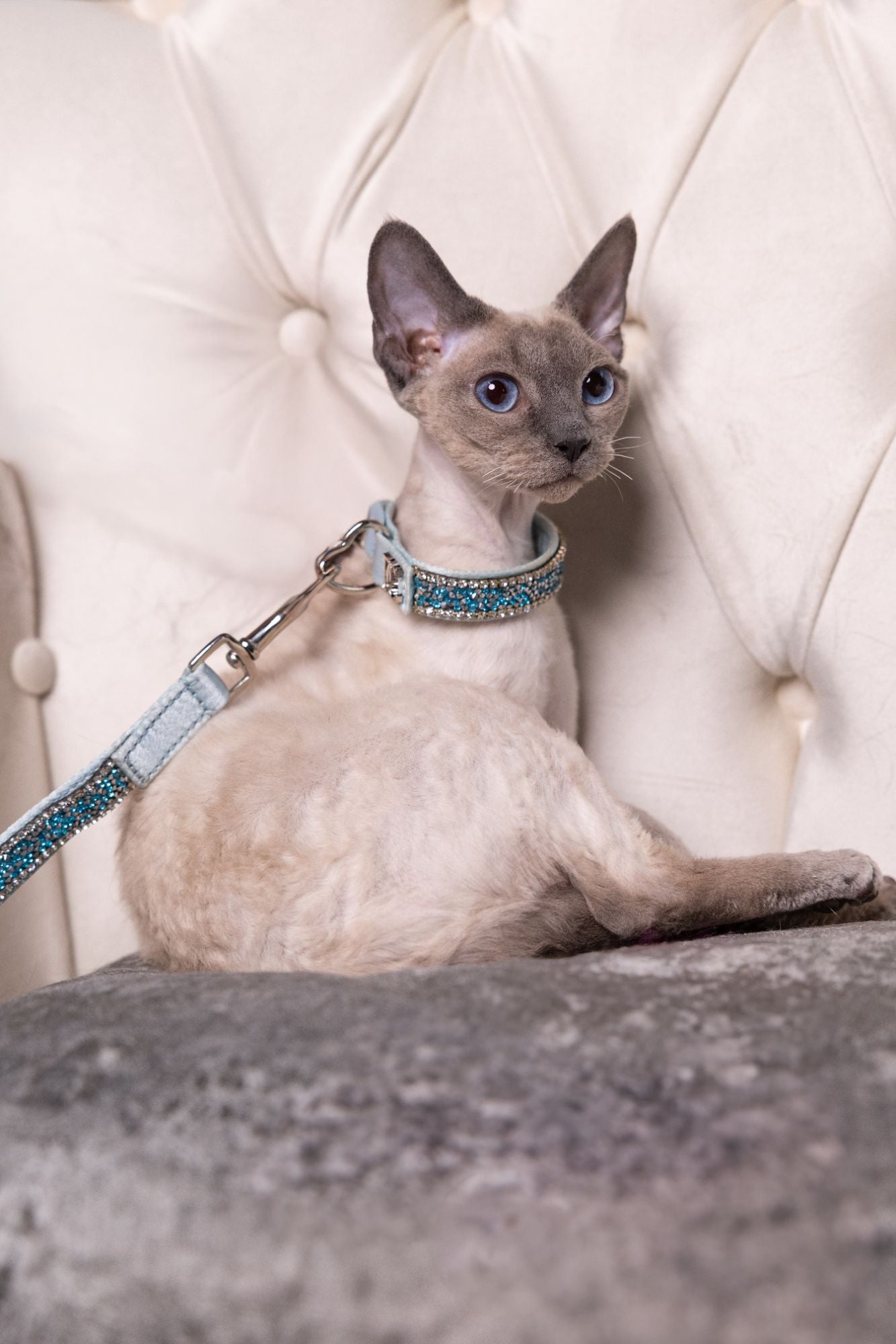 Katzenhalsband „Royal Sky“ – königsblau mit Kristallen