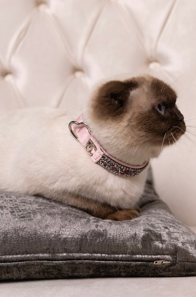 Katzenhalsband „Rosé Glamour“ – pink mit Kristallen