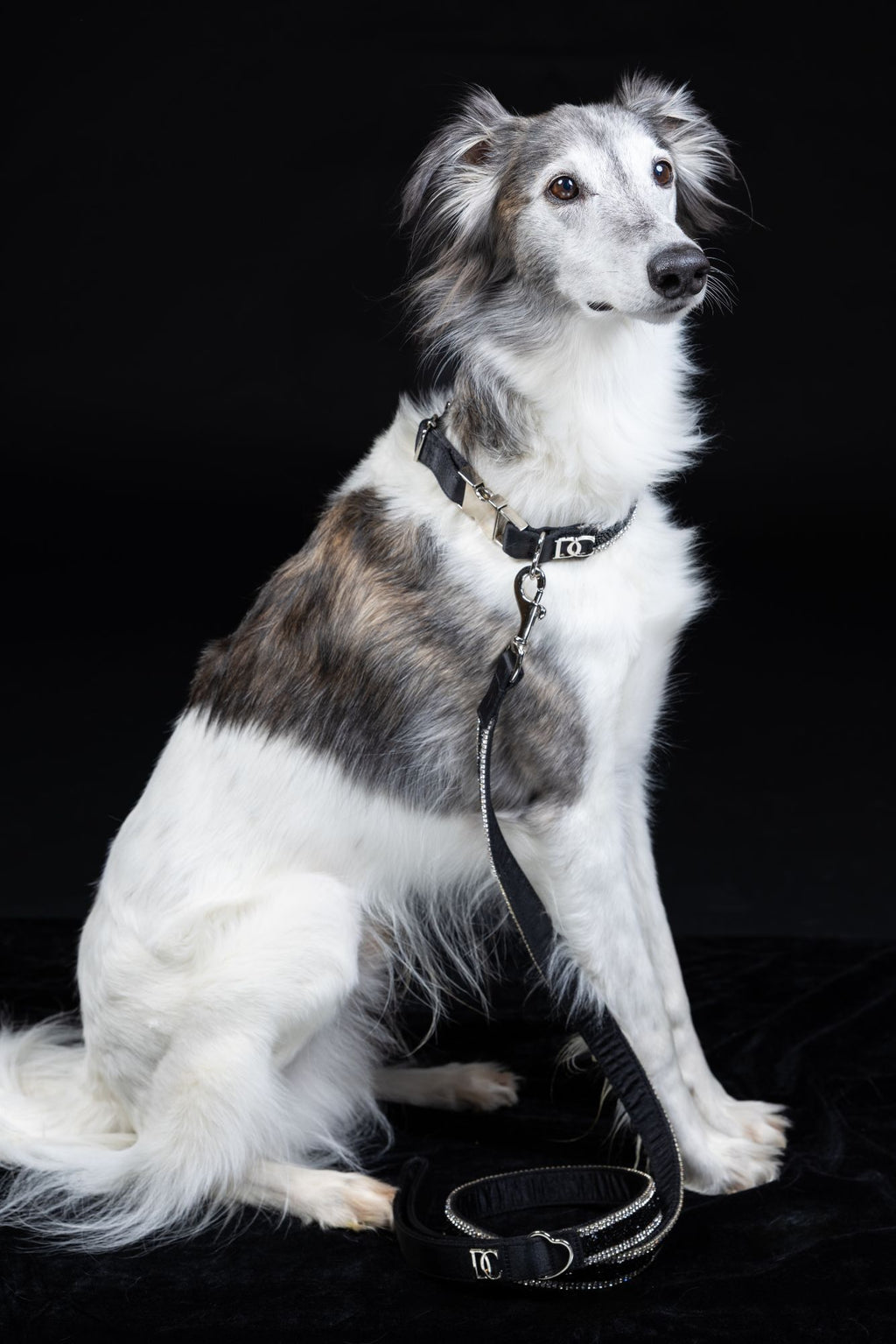Hundehalsband „Black Elegance“ – schwarz mit Kristallen