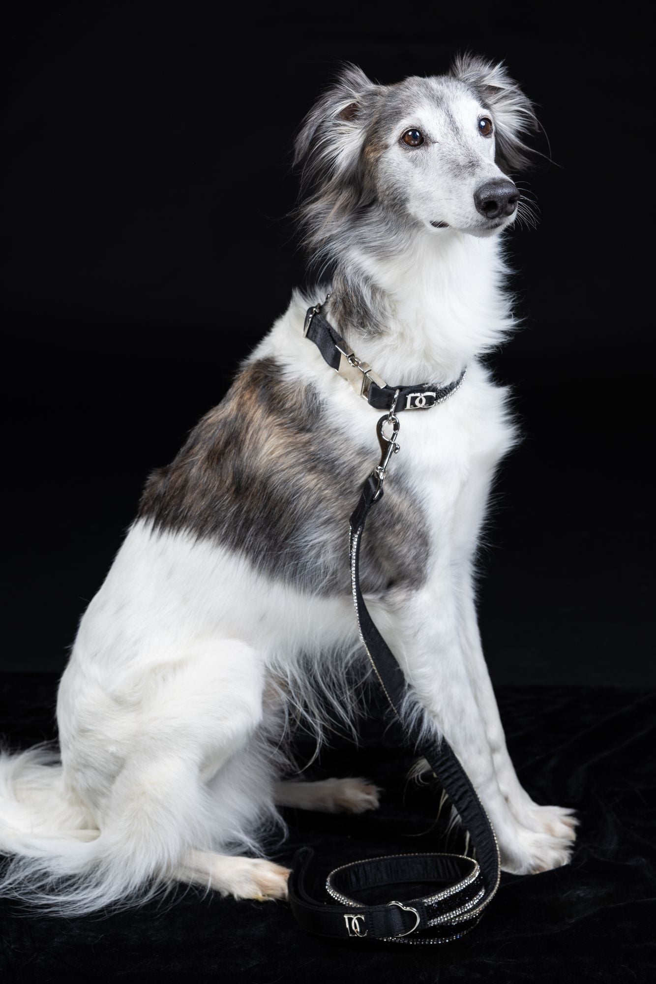Hundehalsband „Black Elegance“ – schwarz mit Kristallen